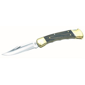 Buck Folding Hunter Knife
