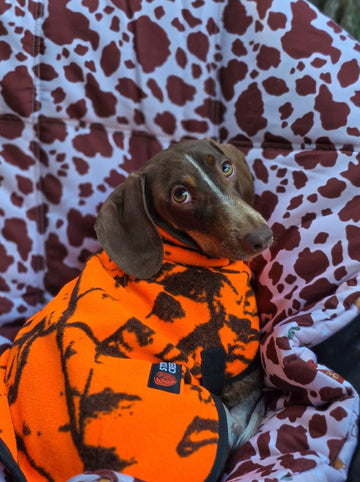 Stoney Creek Jones Dog Coat (Blaze Orange)
