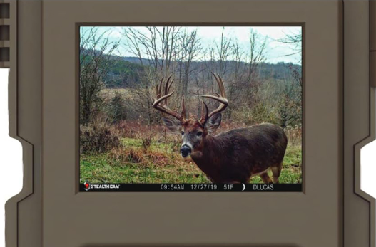 Stealth cam GSM Prevue 26MP