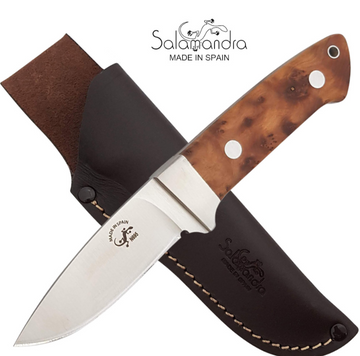 Salamandra Thuja Wood Pocket Knife