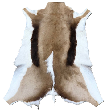Springbok Skin