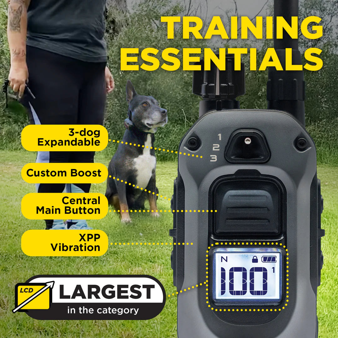Dogtra 280X Compact Training Collar