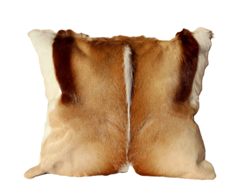 Springbok Cushion (unfilled)