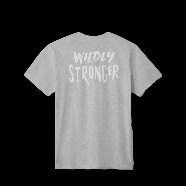 Yeti Wildly Stronger T-shirt Heather Gray - Main Image