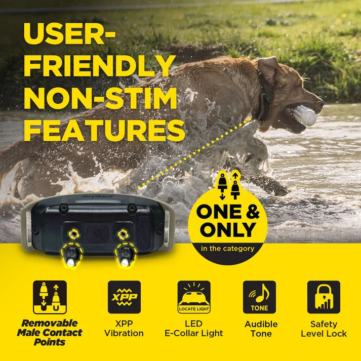 Dogtra 1900X Additional Receiver ONLY