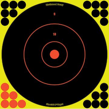 Birchwood Casey shoot n C 12 Bulls Eye Target 5pk