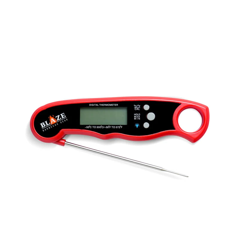 Blaze Thermometer Pen