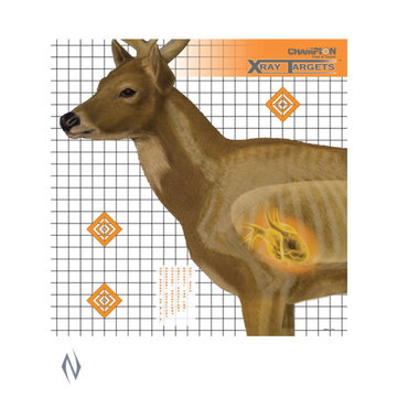 CHAMPION TARGET DEER 25X25 6 PACK