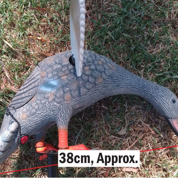 Motorised Mallard Decoy