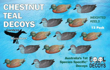 Chestnut Teal Duck Decoy 12pk