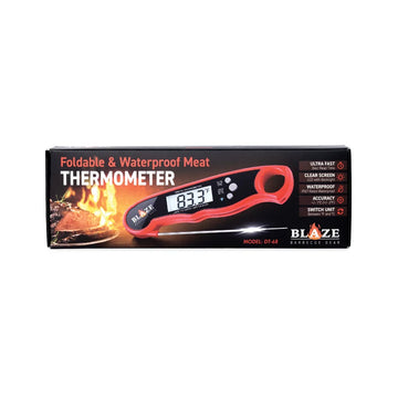 Blaze Thermometer Pen