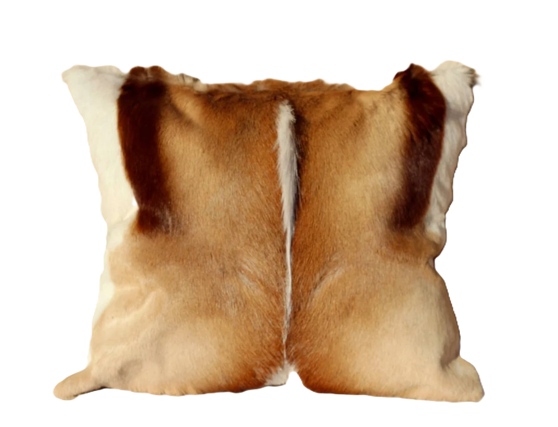 Springbok Rugstring Springbok Cushion (unfilled) – Sports Hut