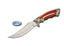 Rite Edge Fixed Blade Hunter Knife | 211396BR