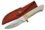 Rite Edge Whitetail Bone Handle Knife | DH8010 Skinner