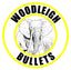 Woodleigh 375 Mag 235gr PP SN Projectiles (50pk)